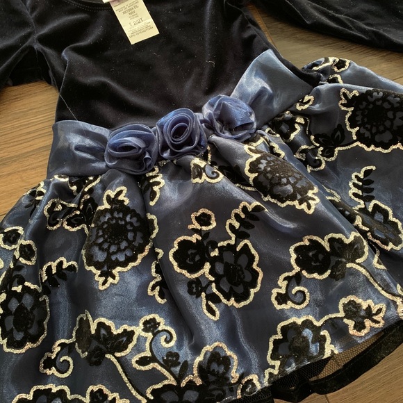 NWT 2T Dress - Party Dress - Picture 2 of 6